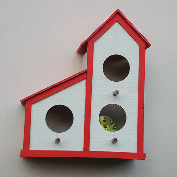 3 in1 colony bird house haikalpk