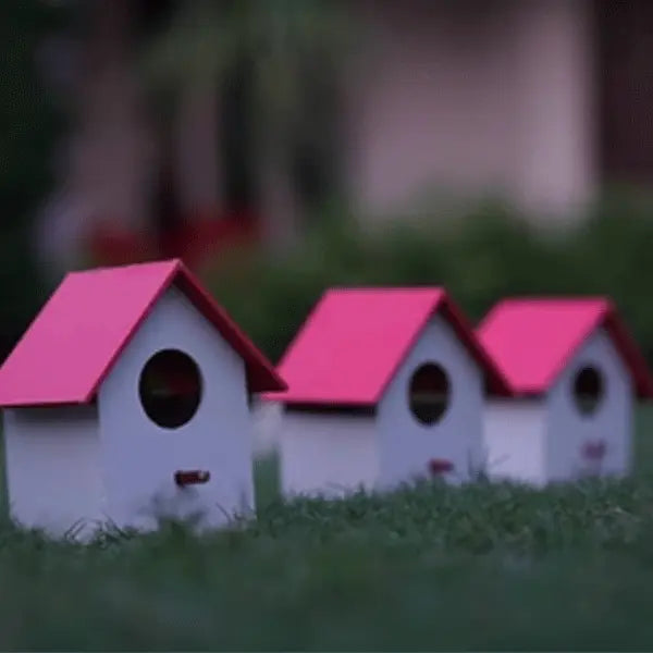 (Pack Of 4) PVC Bird House Waterproof Plain haikalpk