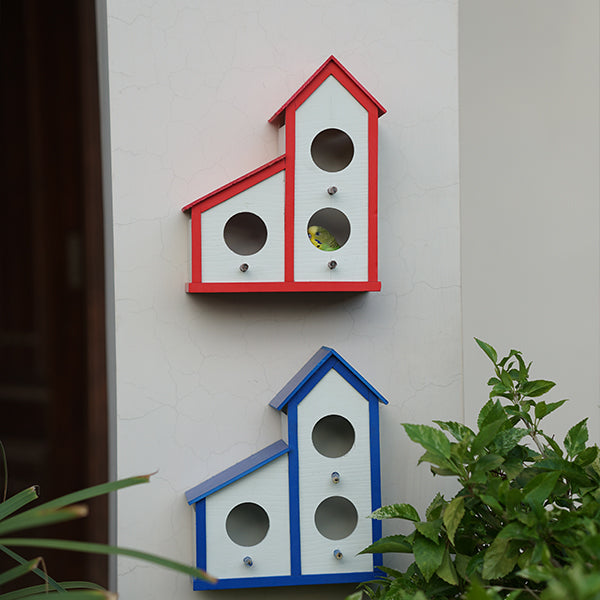 3 in1 colony bird house haikalpk