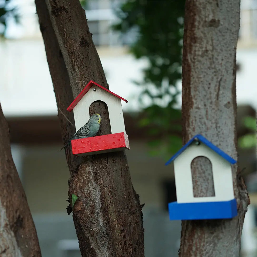 (Pack Of 3)  Bird Feeder haikalpk