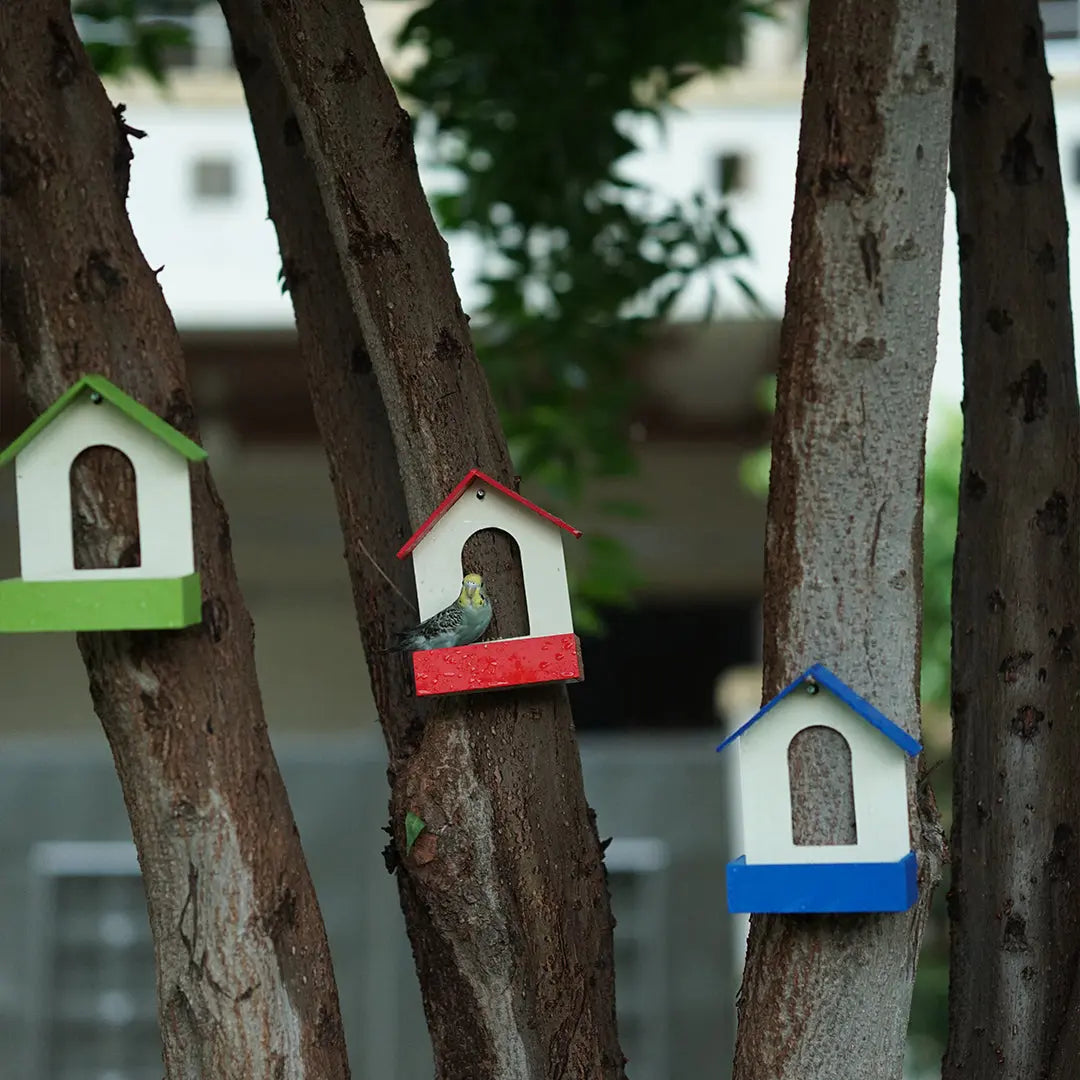 (Pack Of 3)  Bird Feeder haikalpk