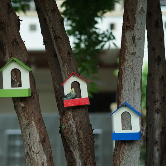 (Pack Of 3)  Bird Feeder haikalpk