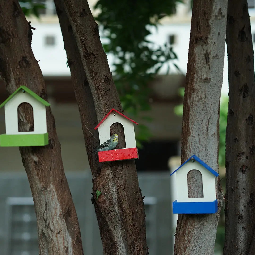 (Pack Of 3)  Bird Feeder haikalpk