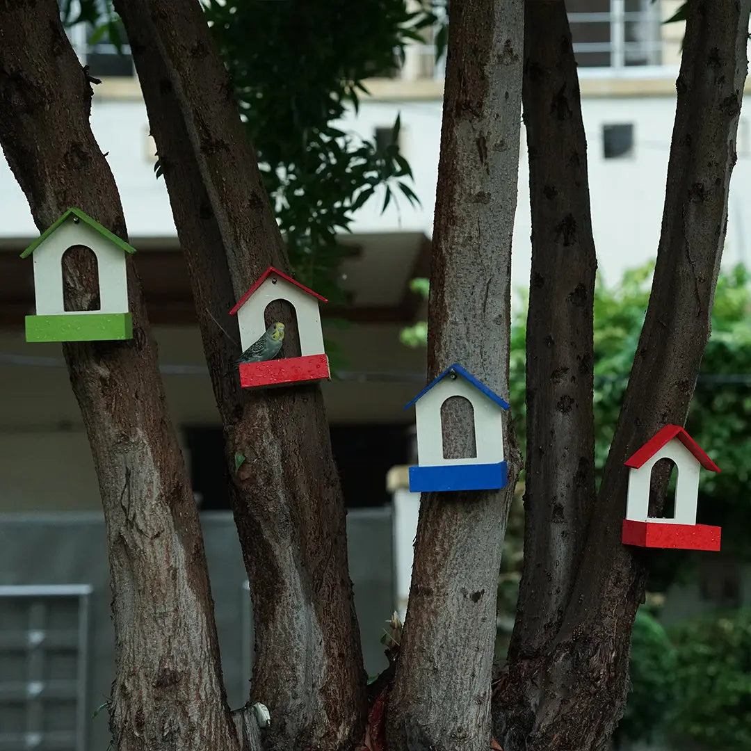 (Pack Of 3)  Bird Feeder haikalpk