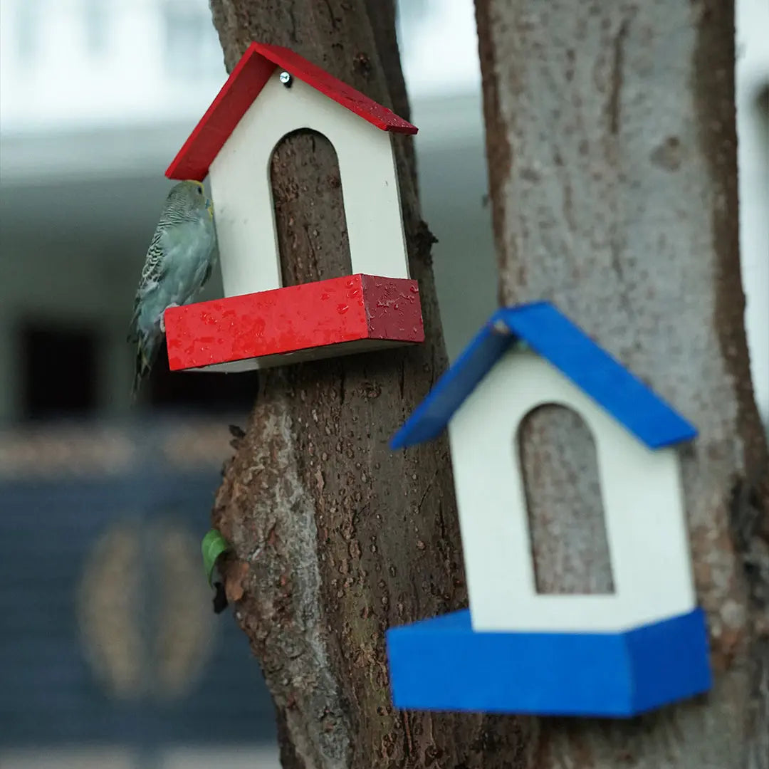 (Pack Of 3)  Bird Feeder haikalpk