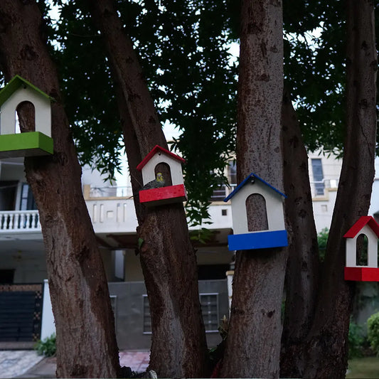 (Pack Of 3)  Bird Feeder haikalpk