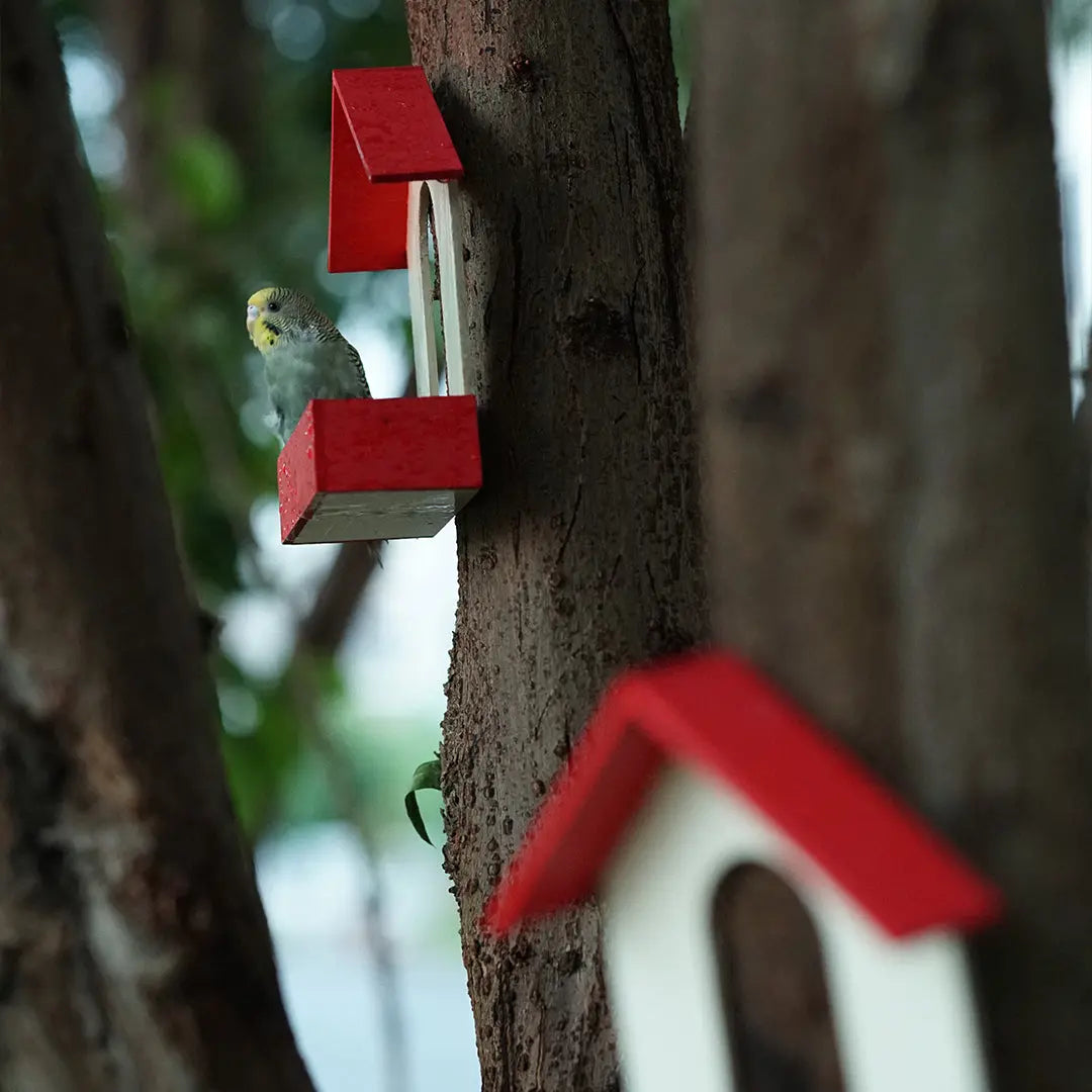 (Pack Of 3)  Bird Feeder haikalpk